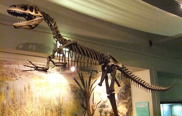 Megalosaurus je možda prvi dinosaur koji je opisan u znanstvenoj literaturi.